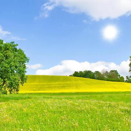 Pet Friendly Home In Krems Iiwarderbrueck Gols